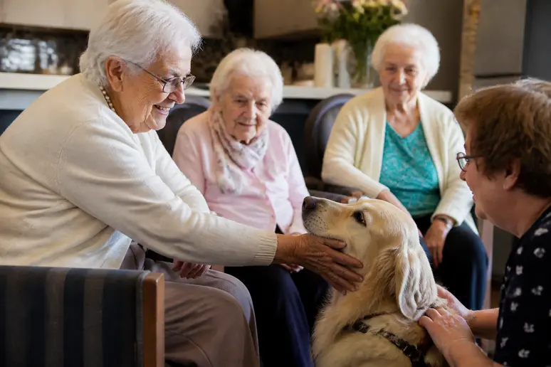 Résident souriant caressant un chien lors d'une séance de médiation animale en ehpad