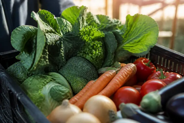 Légumes bio et de saison livrés pour la préparation des repas en établissement